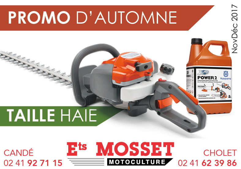 annonce actu web2017