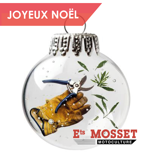 POST FB MOSSET NOEL