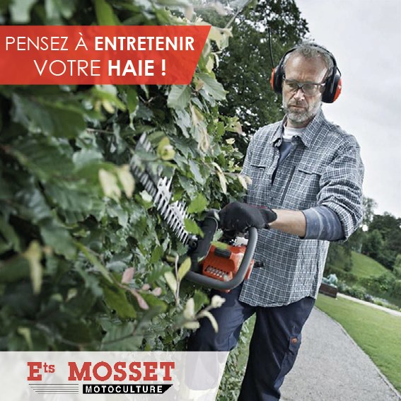 Pensez a entretenir votre haie taille haie mosset