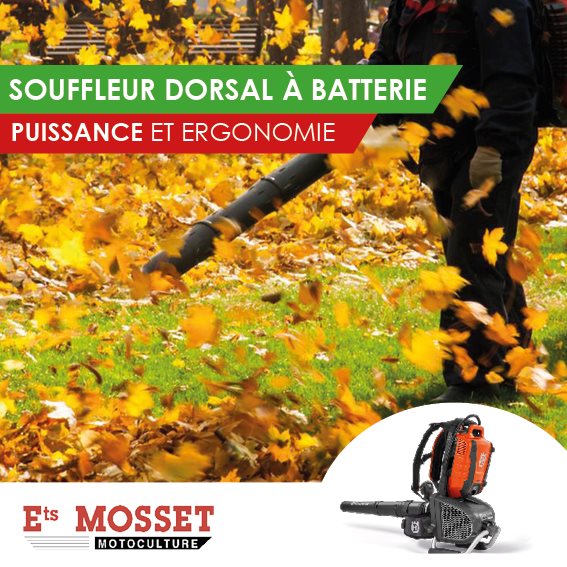 Souffleur dorsal a batterie