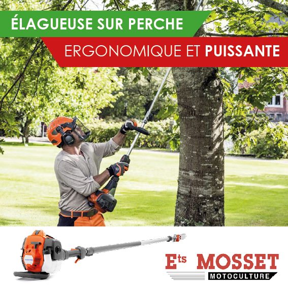 mosset elagueuse sur perche