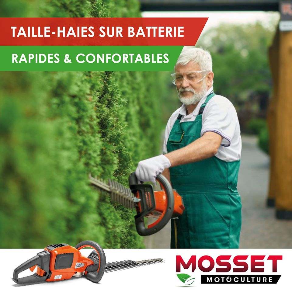 Taille haies sur batterie