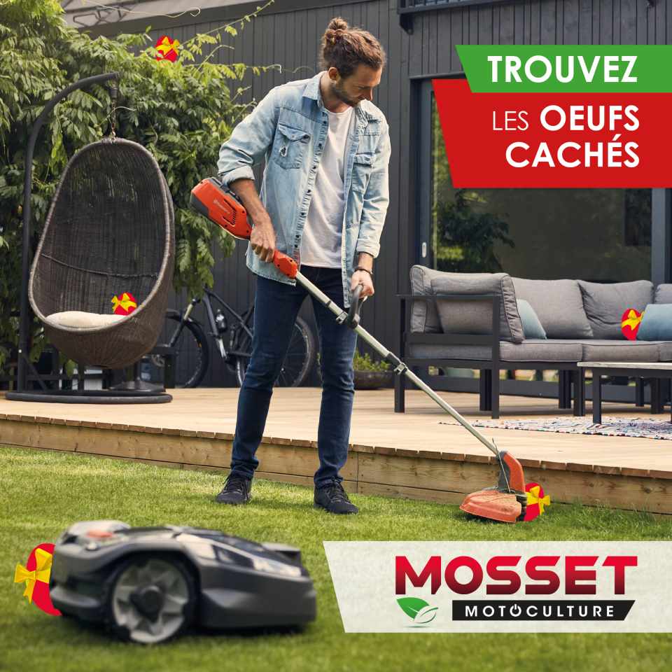 MOSSET paques oeufs