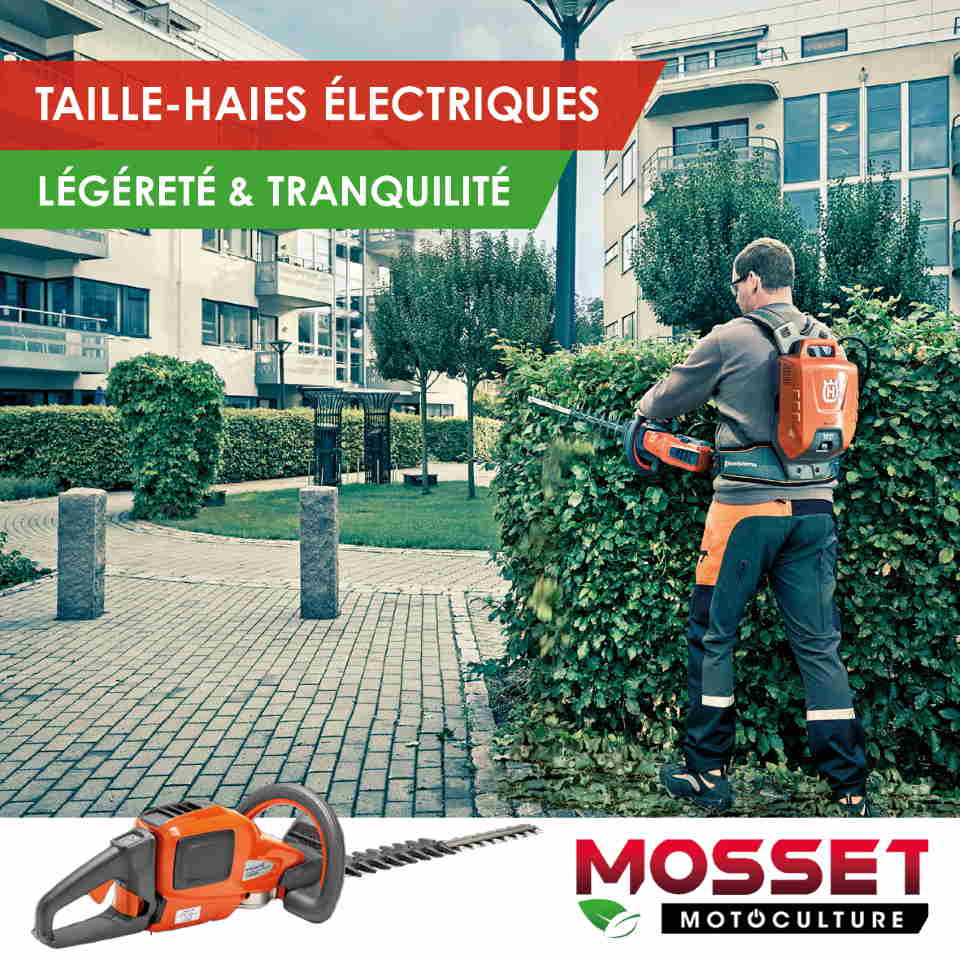 MOSSET TAILLE HAIE id C3 A9e 2