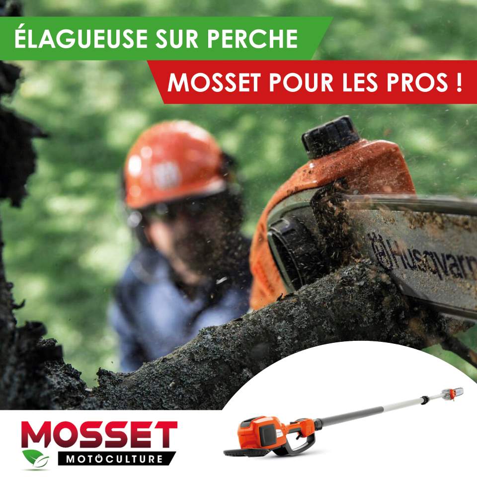 MOSSET pour les pros Elagueuse sur perche