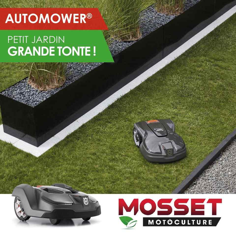 143916381 1758981190927172 1029344084649829065 o 1